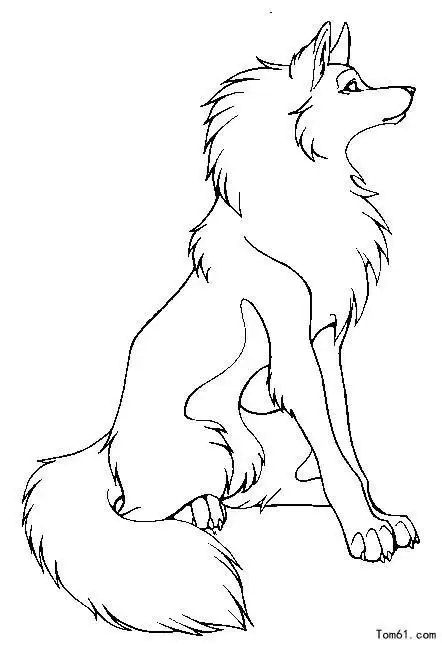 狼简笔画可爱狼简笔画可爱卡通