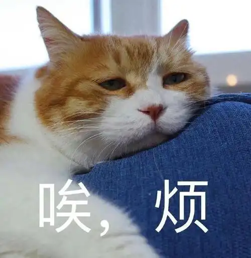 维他命计划小组招募开始咯