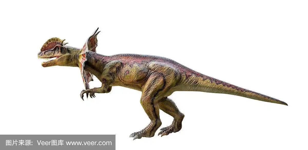 恐龙,双脊龙,白色背景,怪物,分离着色