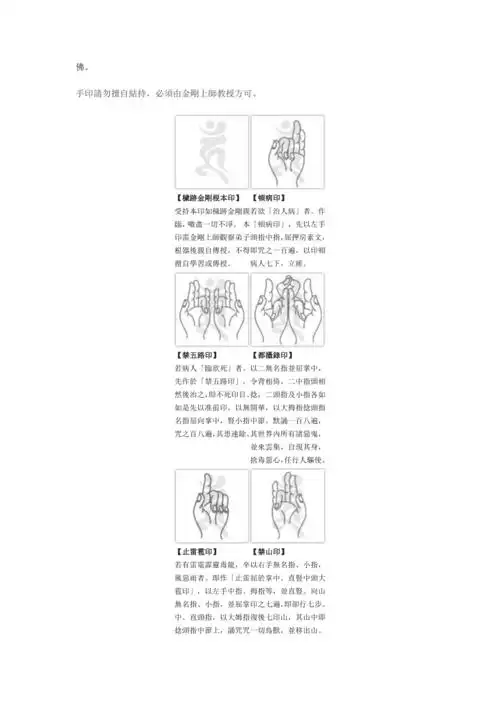 秽迹金刚根本印手印请勿擅自结持必须由金刚上师教授方可文档doc