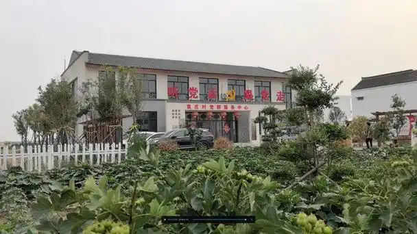 这个豫北的美丽乡村处处回荡着"爱的奉献"|浚县|寺坡|小河镇|袁庄村