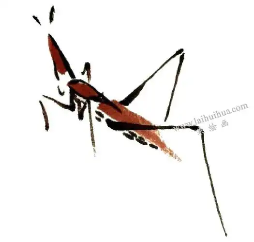 蚱蜢的写意画法步骤图示
