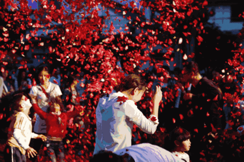 分分钟成为新的打卡胜地      嗨玩音乐节,首席dj,气球花瓣雨,爱乐