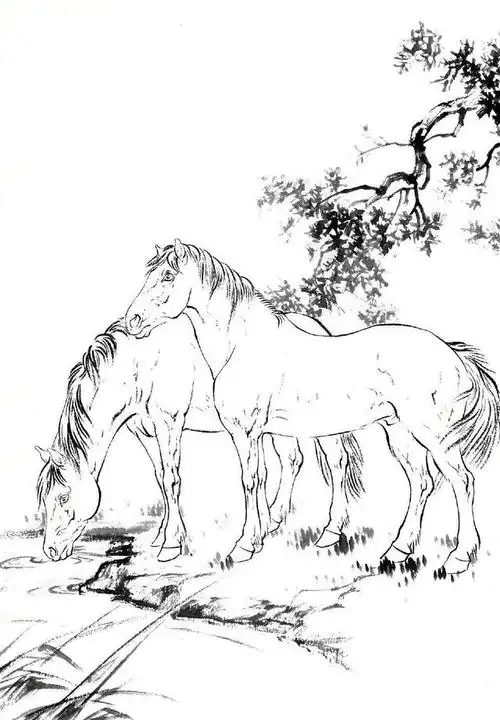 9张马的白描线稿,简单造型却美观大气,非常适合初学者临摹学习