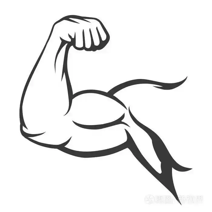 健美肌肉弹性臂