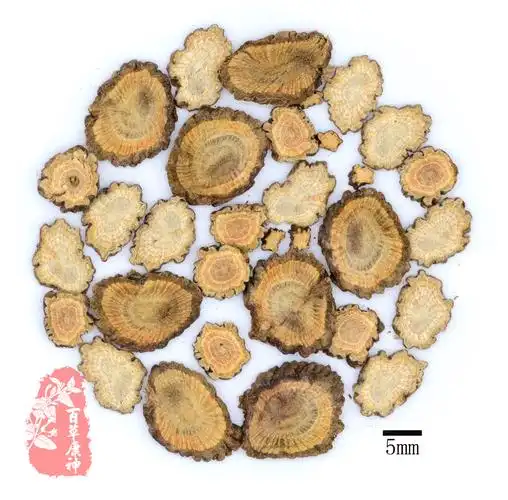 种子类根及根茎类中药数字标本馆京大戟/中药数字标本馆/首页当前位置