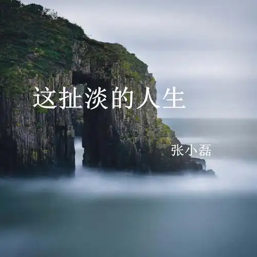 淡的人生_张小磊__高音质在线试听_这扯淡的人生歌词|歌曲下载_酷狗