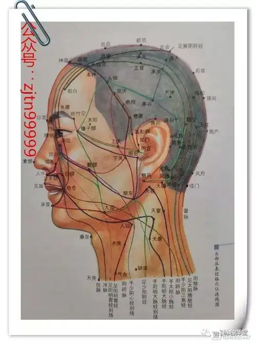 头部体表经络穴位连线图解连载欢迎转发
