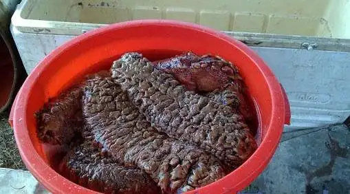 海参价格一斤多少钱一斤梅花参价格多少钱一斤