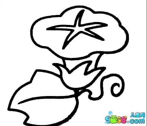 藤蔓植物牵牛花的简笔画步骤