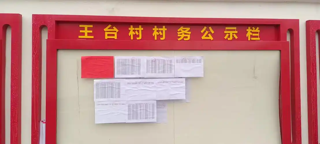 颍东区杨楼孜镇王台村公示栏