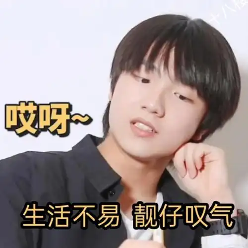 tf家族三代表情包