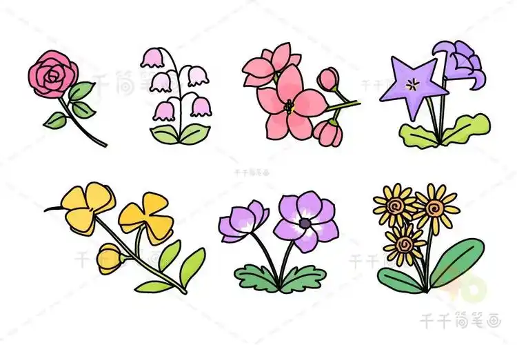 教你画各种漂亮的花朵简笔画_花草植物视频简笔画