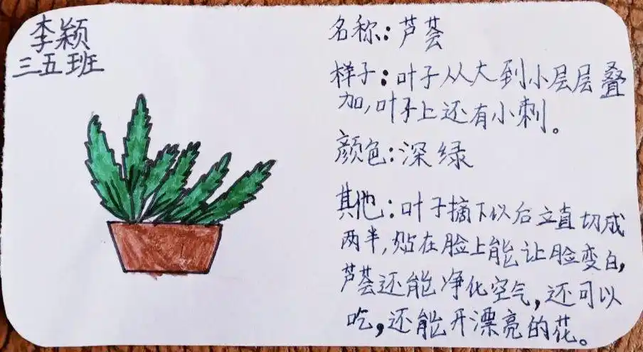 05.04植物记录卡