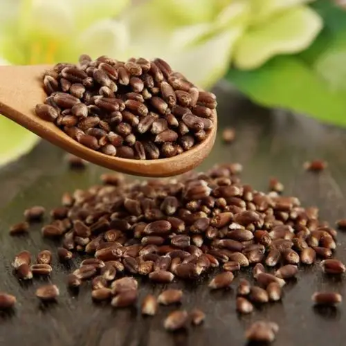 黑小麦石磨面粉 挂面