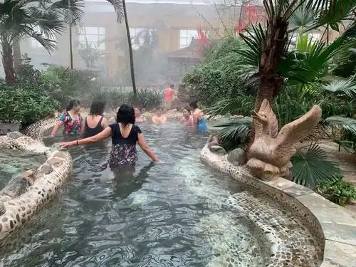 聊城阿尔卡迪亚温泉一日游