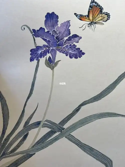 国画  #没骨画  #鸢尾  #中国画  #水墨画