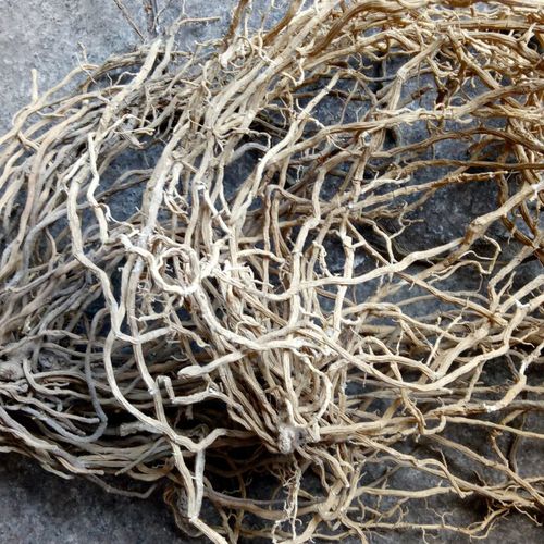 无硫牛尾野生药材大伸筋艹干品土春根七层层楼其他药食同源食品