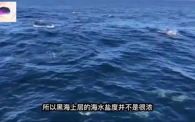 黑海有多可怕?为什么215米以下,没有鱼类生存?