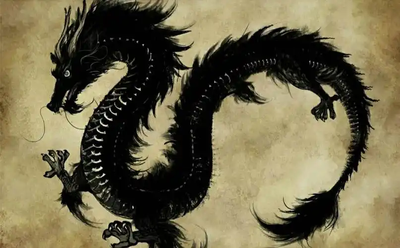 项目阅读——龙.