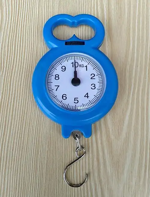 翌玉庭弹簧秤公平秤家用便携式多功能10kg手提秤买菜秤口袋秤迷你快递