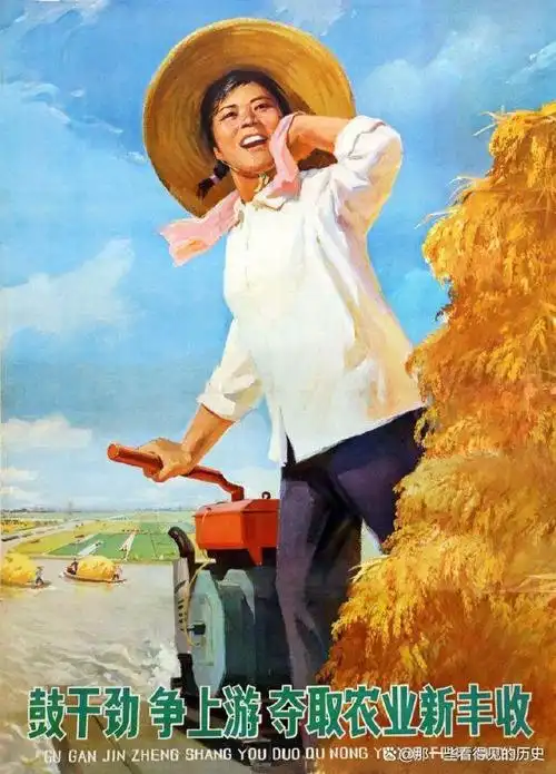70年代宣传画 到处是丰收的景象 可实际上呢?