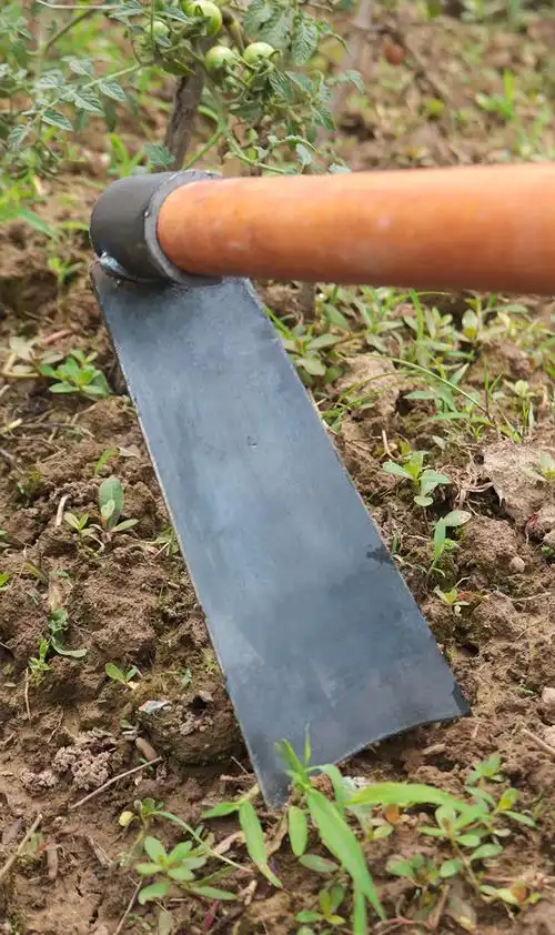 铁锹柄款除草小宽口锄头 锻打锰钢挖地松土园林户外农用工具锄头