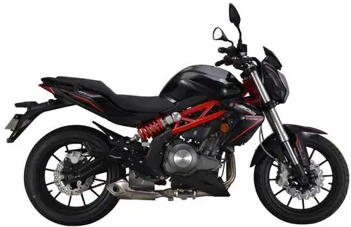 贝纳利benelli蓝宝龙bj300gs摩托车图片