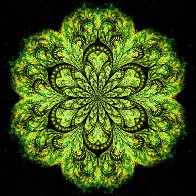 绿色的分形花朵图案