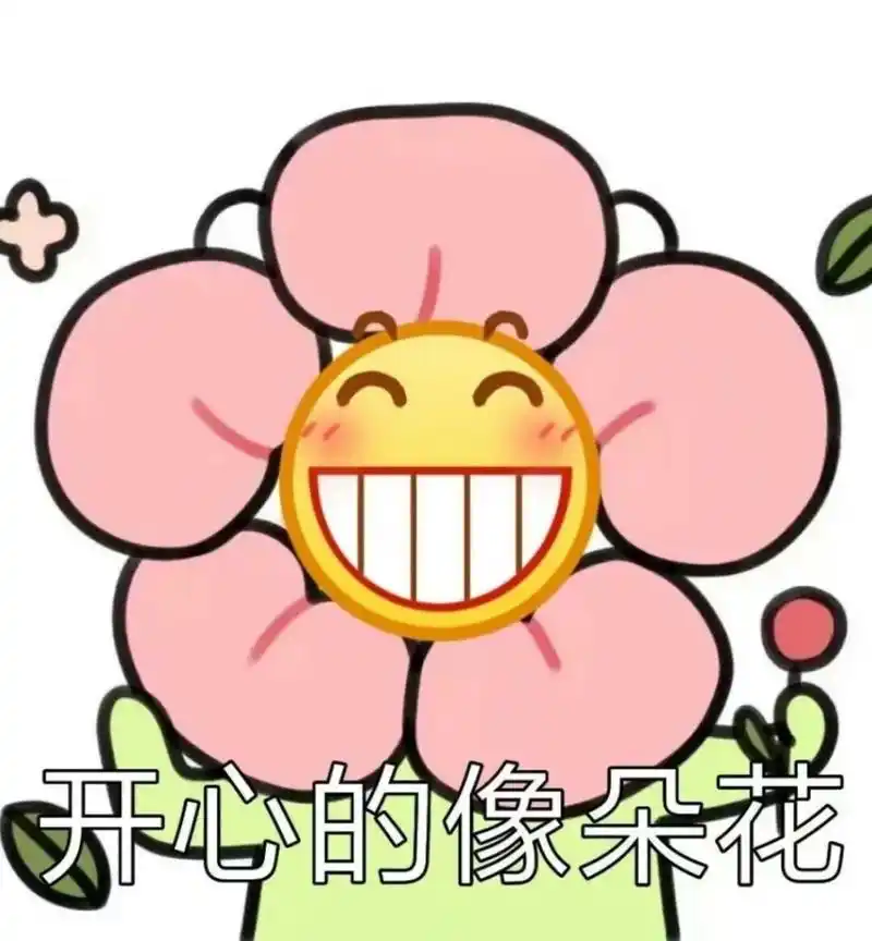 开心的像朵花朵花开心表情