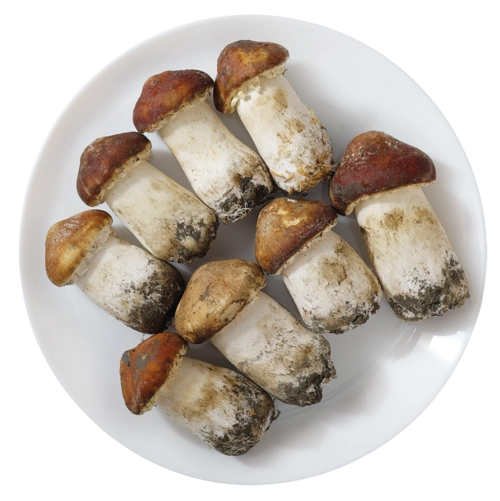 姬松茸_菌菇类_深圳市东源兴进出口有限公司