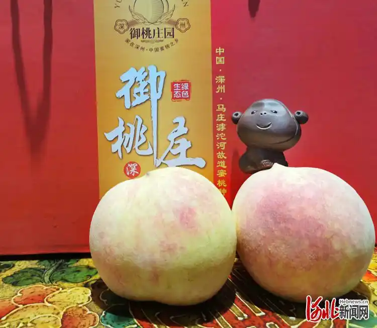 河北深州:完善产业链条 奏响"蜜桃春曲"