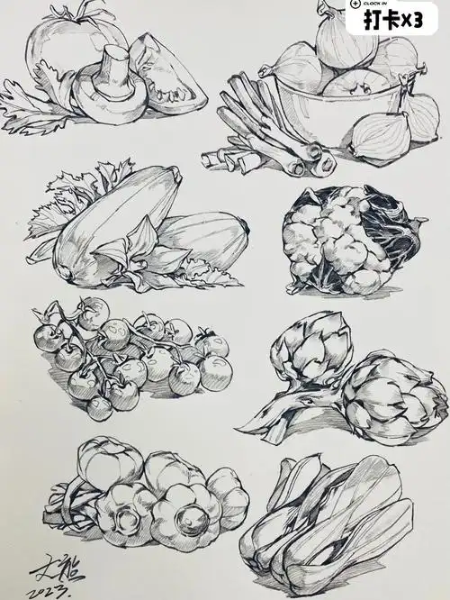 速写万物蔬菜篇