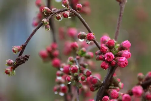 张掖中学2017艺术节"校园最美瞬间"摄影大赛优秀作品展