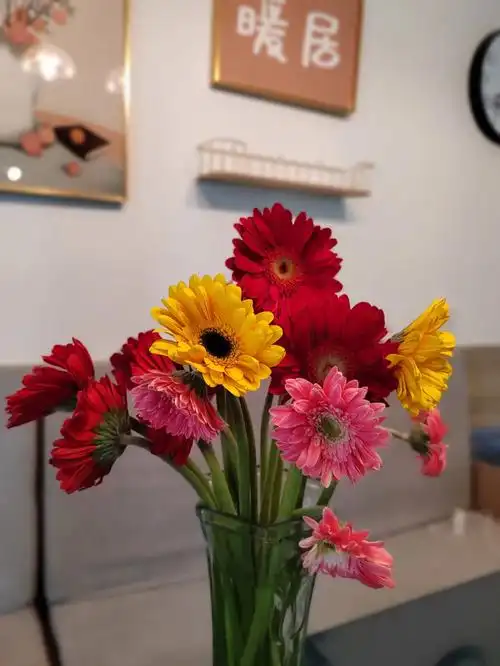 春天花会开疫情助农59元40支弗朗花