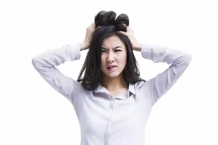 中国,亚洲,仅一个年轻女性,仅一个女性,仅一个人,抚摸,咬,正装,生气