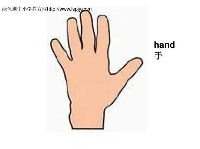 三上u2_look_at_me第5课时 3ppt