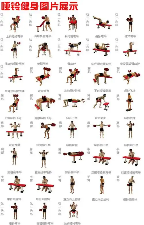 电镀哑铃 男士1kg-10kg固定电镀哑铃 固定电镀哑铃 哑铃男女适用