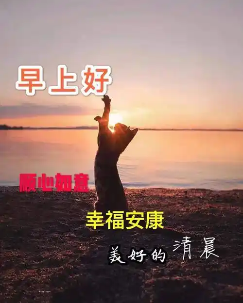 原创2021最新最全的早上好祝福图片最新免打字聊天早安问候祝福语图片