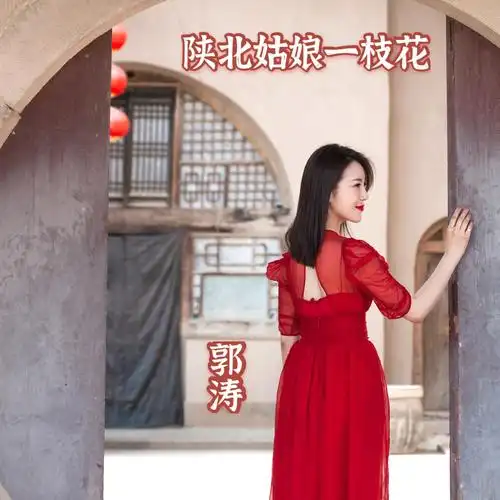 陕北姑娘一枝花 (伴奏)_郭涛_高音质在线试听_陕北姑娘一枝花 (伴奏)