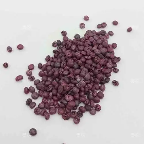 种子芦笋美国钻牌uc800石刁柏种孑多年生蔬菜春秋家庭园艺种子