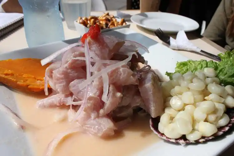 peruvian gastronomy: ceviche
