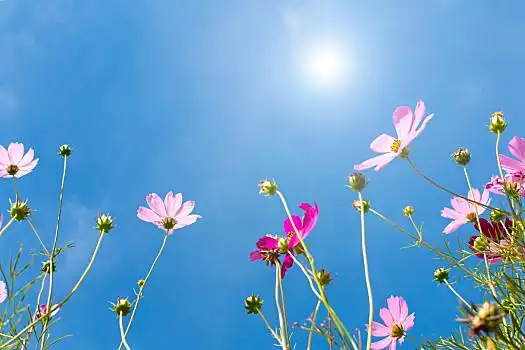 夏天图片_夏天图片大全_夏天图片素材