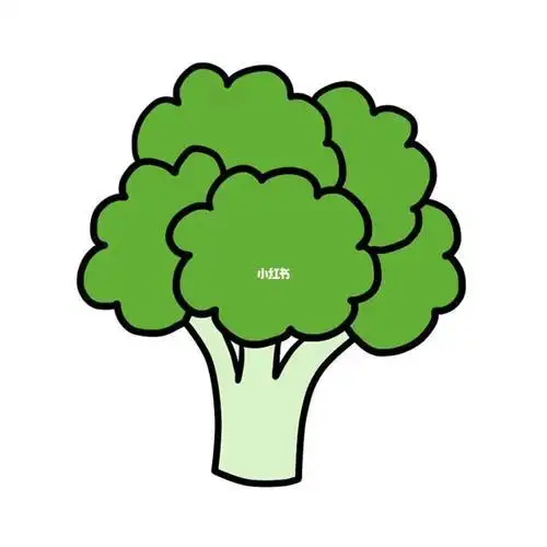 简笔画西兰花颜色