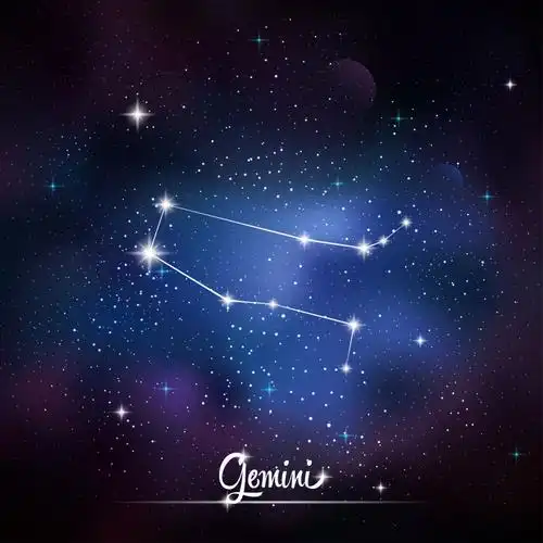 矢量星座双子座