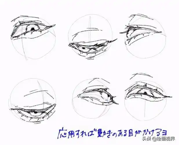 动漫人物眼睛怎么画?老师们都是这样画的,原来画法其实很简单