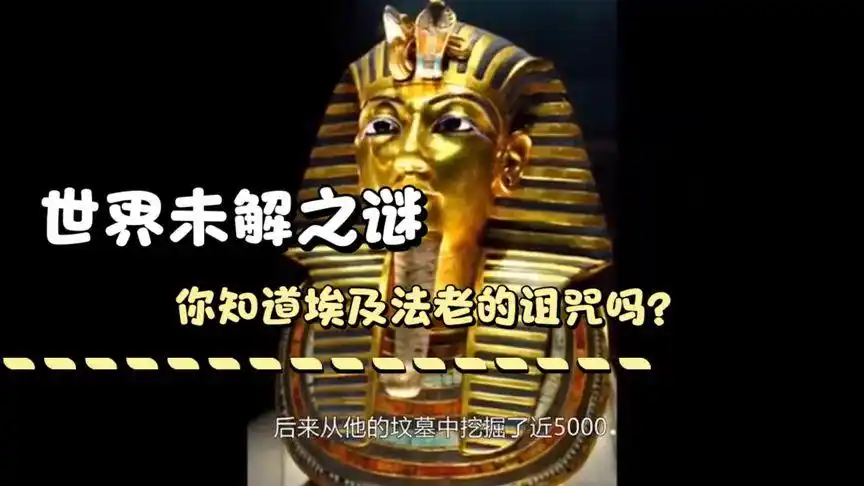 爱猎奇的程序猿