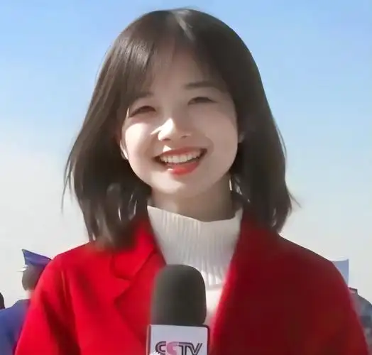 央视最美10大女主持人(央视十大美女主持人排名)