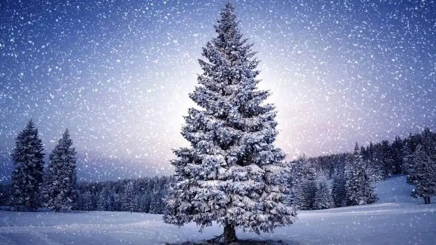 唯美冬日雪景高清风景桌面壁纸