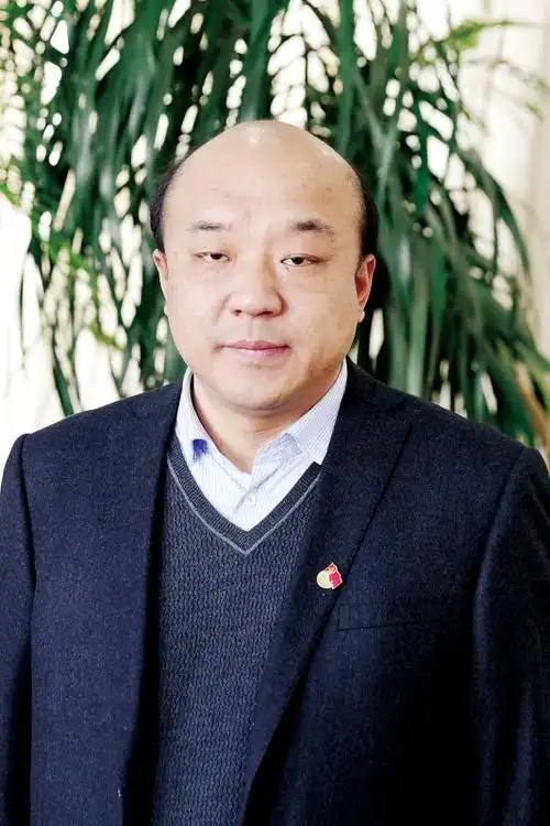 龙山区人民政府区长李鹏飞.